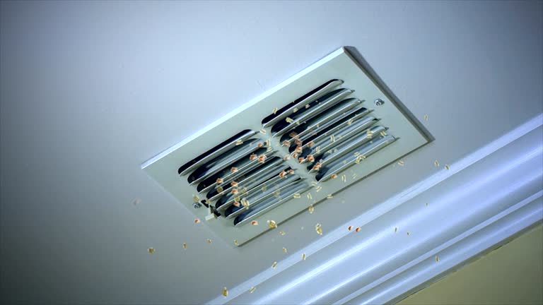 Best Emergency Air Duct Cleaning  in Wayne, IL