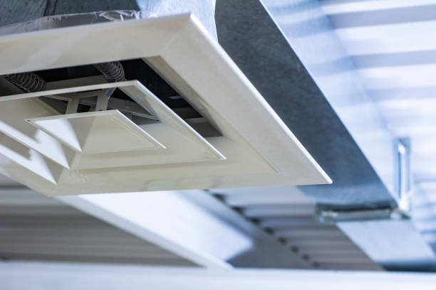 Air Duct Mold Removal in Wayne, IL