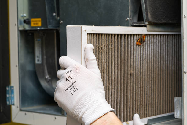 Best Air Duct Mold Removal  in Wayne, IL