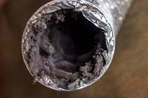 Best Home Air Vent Cleaning  in Wayne, IL