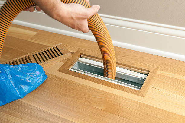 Best Ductwork Cleaning Services  in Wayne, IL