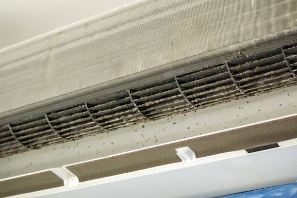 Home Air Vent Cleaning in Wayne, IL