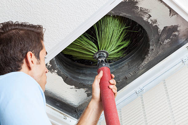 Best HVAC Duct Inspection Services  in Wayne, IL
