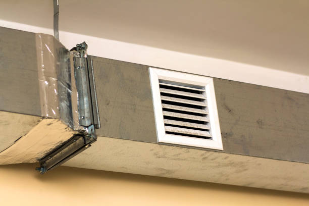 Best Ventilation Cleaning Services  in Wayne, IL